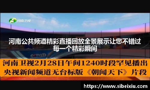 河南公共频道精彩直播回放全景展示让您不错过每一个精彩瞬间