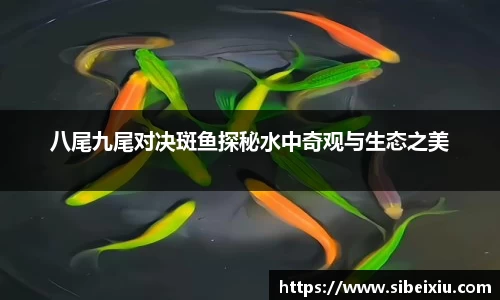 mk体育手机最新版本