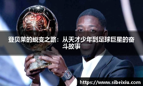 mk体育手机最新版本